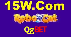 Experiência VIP Qgbet